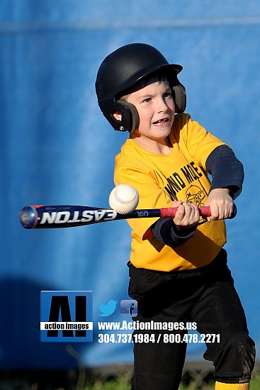 TBall Mound Monkeys