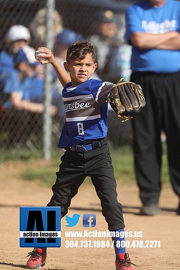 Follansbee Pinto Blue 4-27-25
