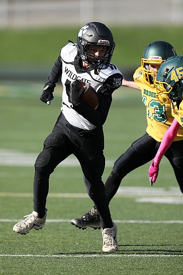 Edison Jr Wildcats Varsity Football 10-2-22