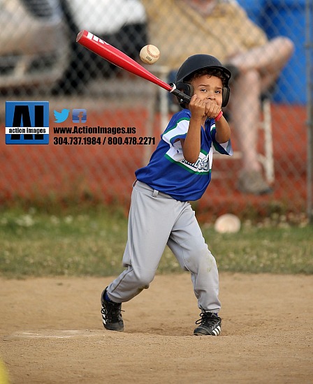 Follansbee T-Ball Yard Goats 6-7-23