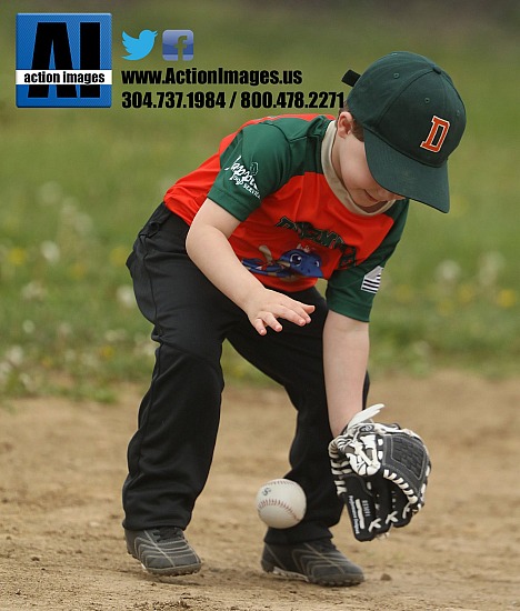 Follansbee T Ball Dinomites 4-18-26