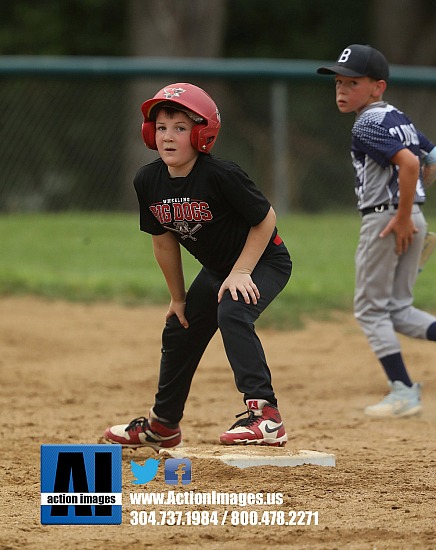 Wheeling Bulldogs 8u All Stars 